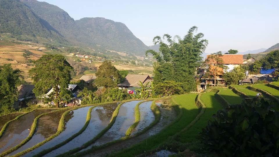 Ta Van Green Hills Homestay Sapa Bagian luar foto