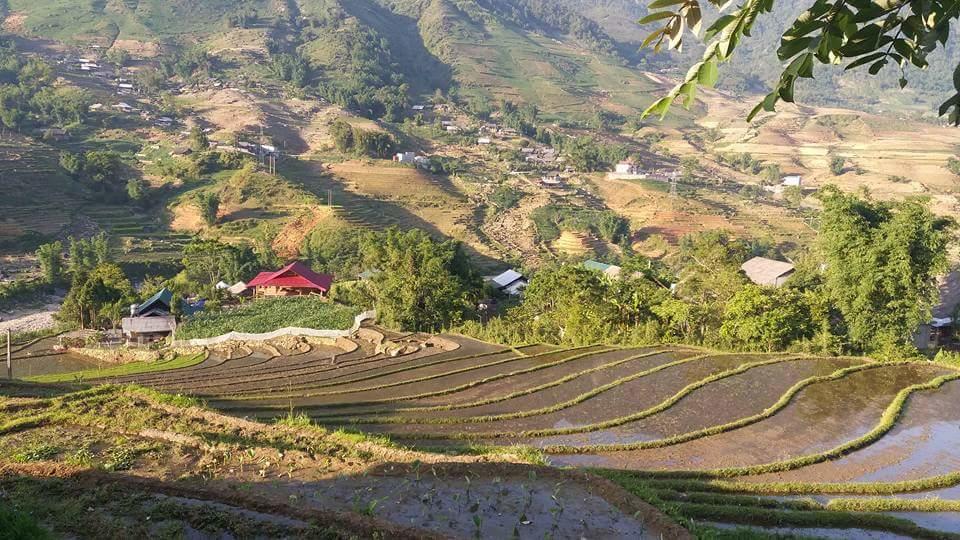 Ta Van Green Hills Homestay Sapa Bagian luar foto