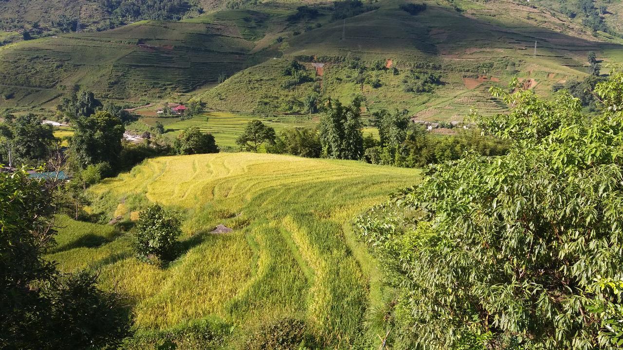 Ta Van Green Hills Homestay Sapa Bagian luar foto