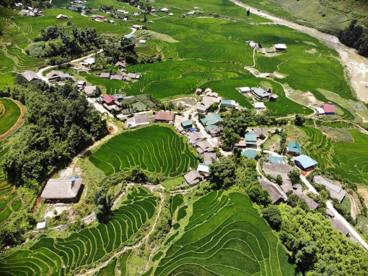 Ta Van Green Hills Homestay Sapa Bagian luar foto