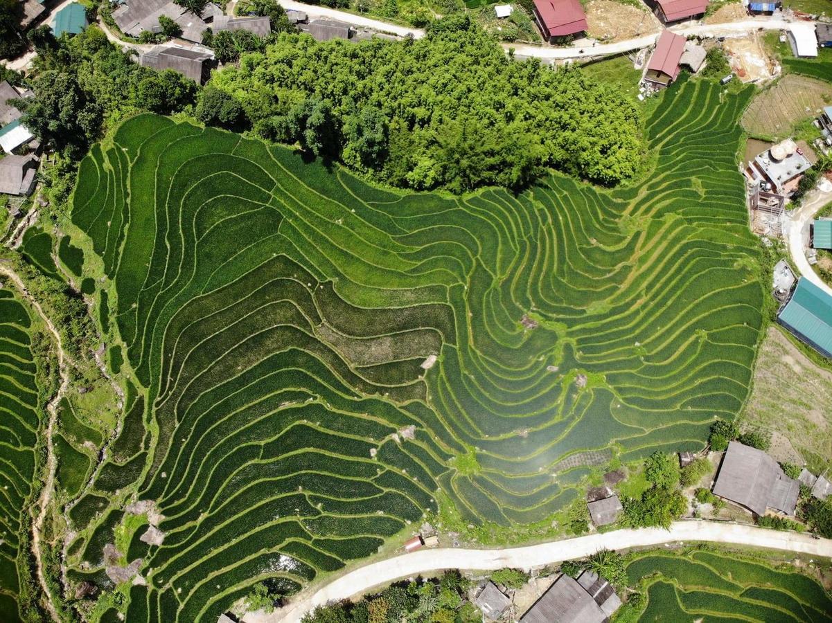 Ta Van Green Hills Homestay Sapa Bagian luar foto