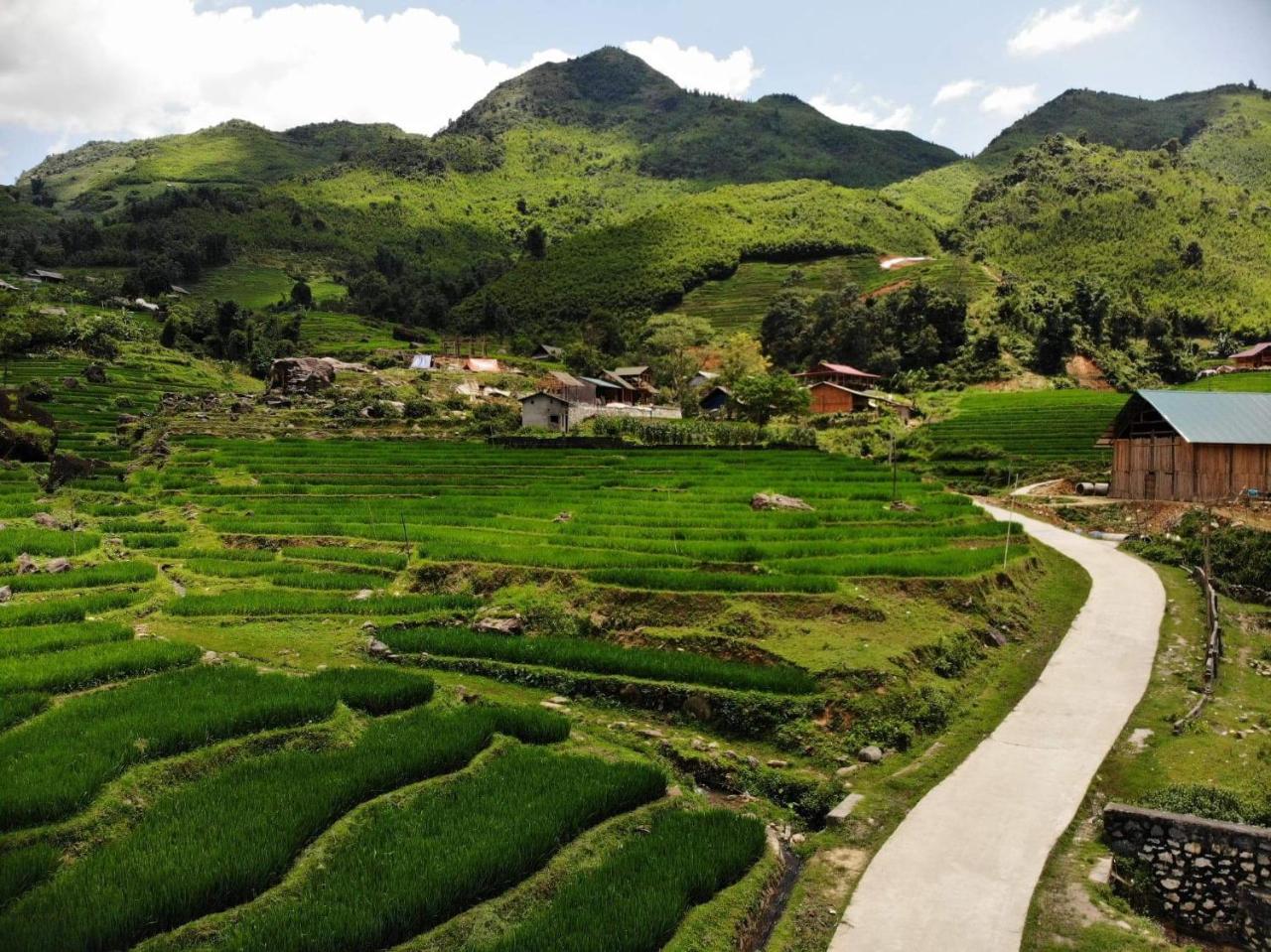 Ta Van Green Hills Homestay Sapa Bagian luar foto
